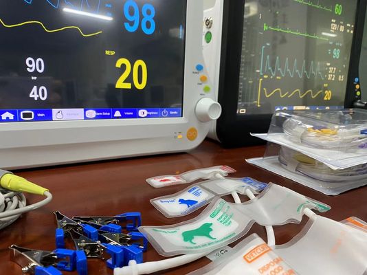 Moniteur vétérinaire LCD 1024X768, appareils de surveillance des paramètres vitaux avec 15 pouces